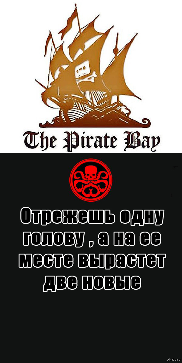 Kraken 24 at