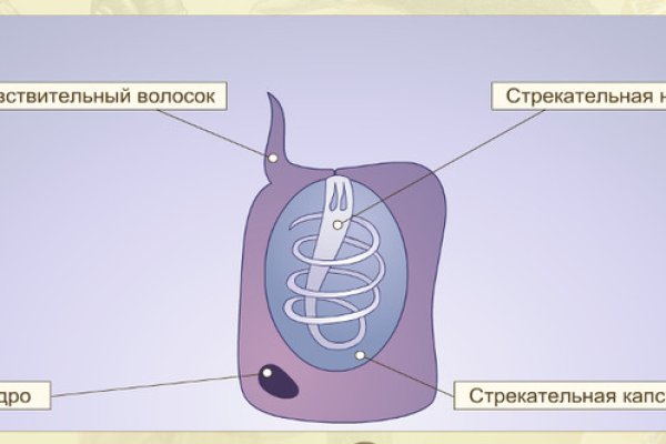 Kra41cc