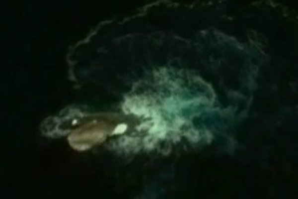 Как восстановить страницу на кракене