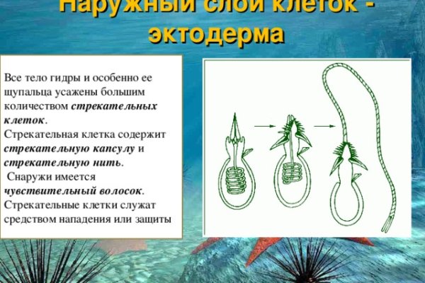 Кракен даркнет рекламы