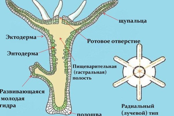 Kraken13 at сайт