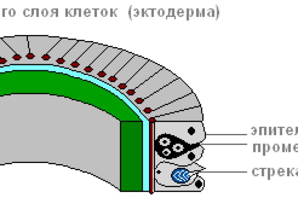 Кракен регистрация
