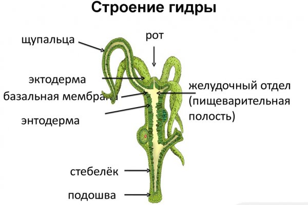 Kra34at