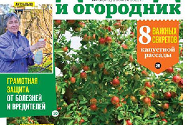 Кракен продает наркотики