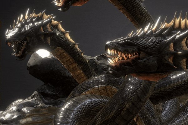Kraken forum