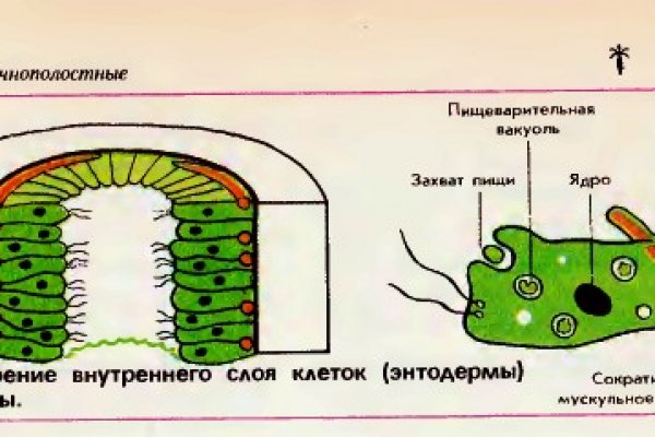 Кракен мониторинг ссылок kraken torion