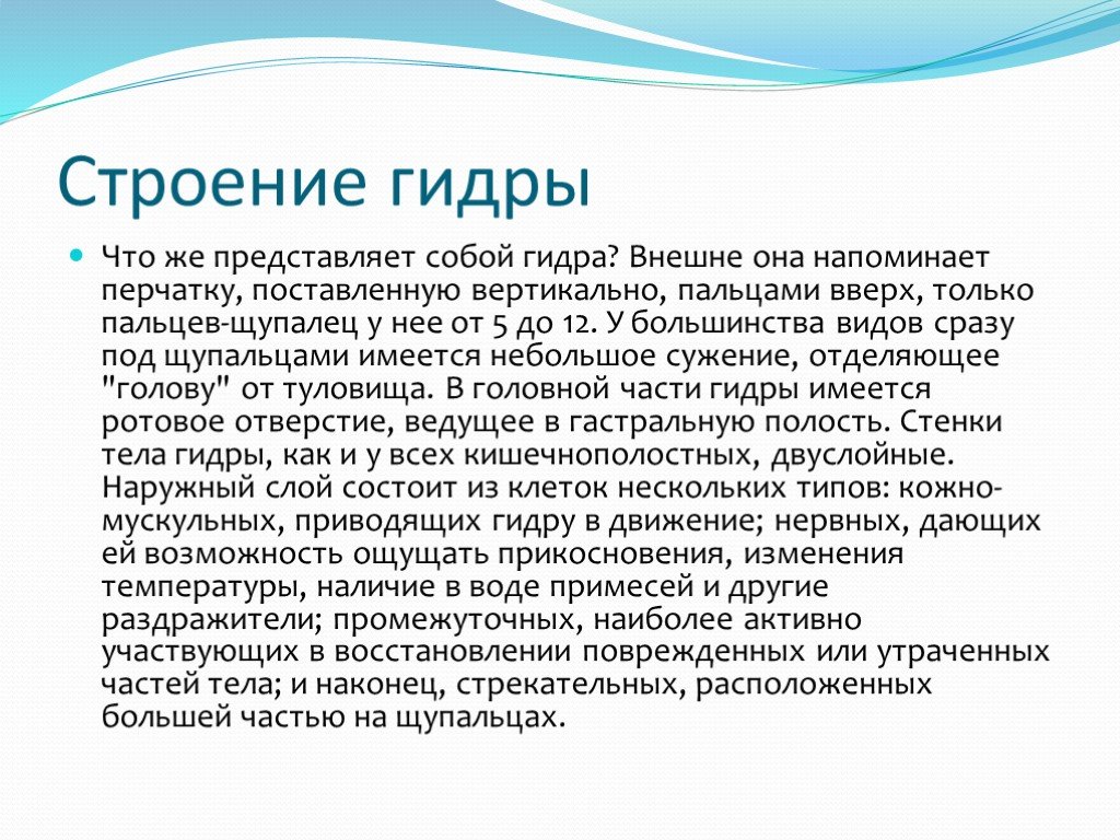Сайт кракен рабочая ссылка